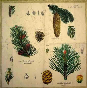 156 Christmas Flowers - 3-ply - Ambiente
